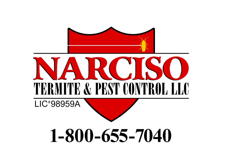 Sponsor